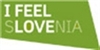 Slovenska turistična organizacija